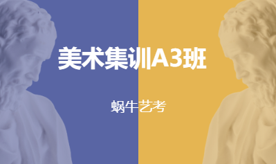 美术集训A3班