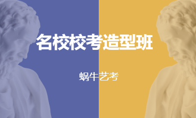 名校校考造型班